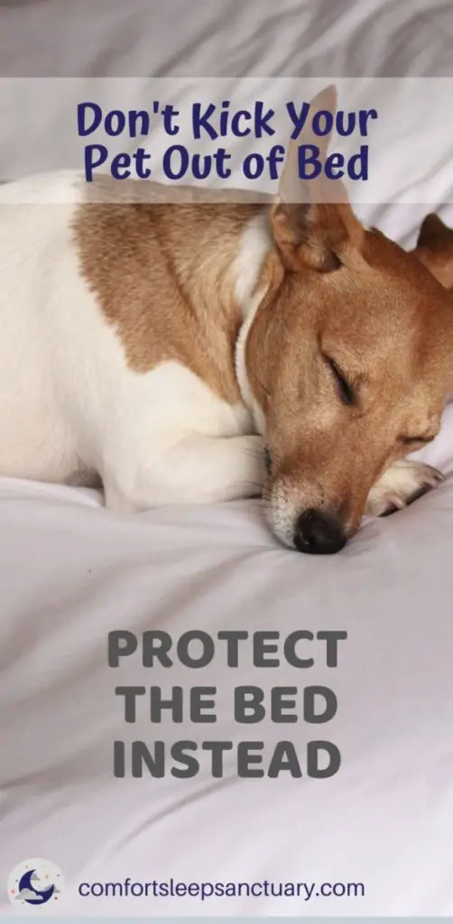 Don’t Kick Your Incontinent Pet Out of Bed. Protect the Bed Instead