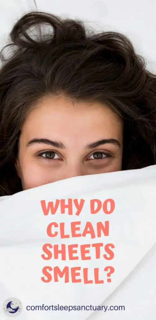 Why Do Your Clean Sheets Smell? Eliminate the Critters Comfort Sleep Sanctuary