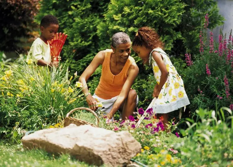 Can You Donate Old Pillows? No? Now What? Comfort Sleep Sanctuary