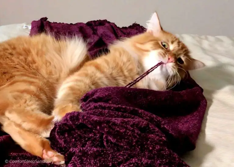 Can Chenille be MachineWashed? Sacrificing a Throw to Find Out